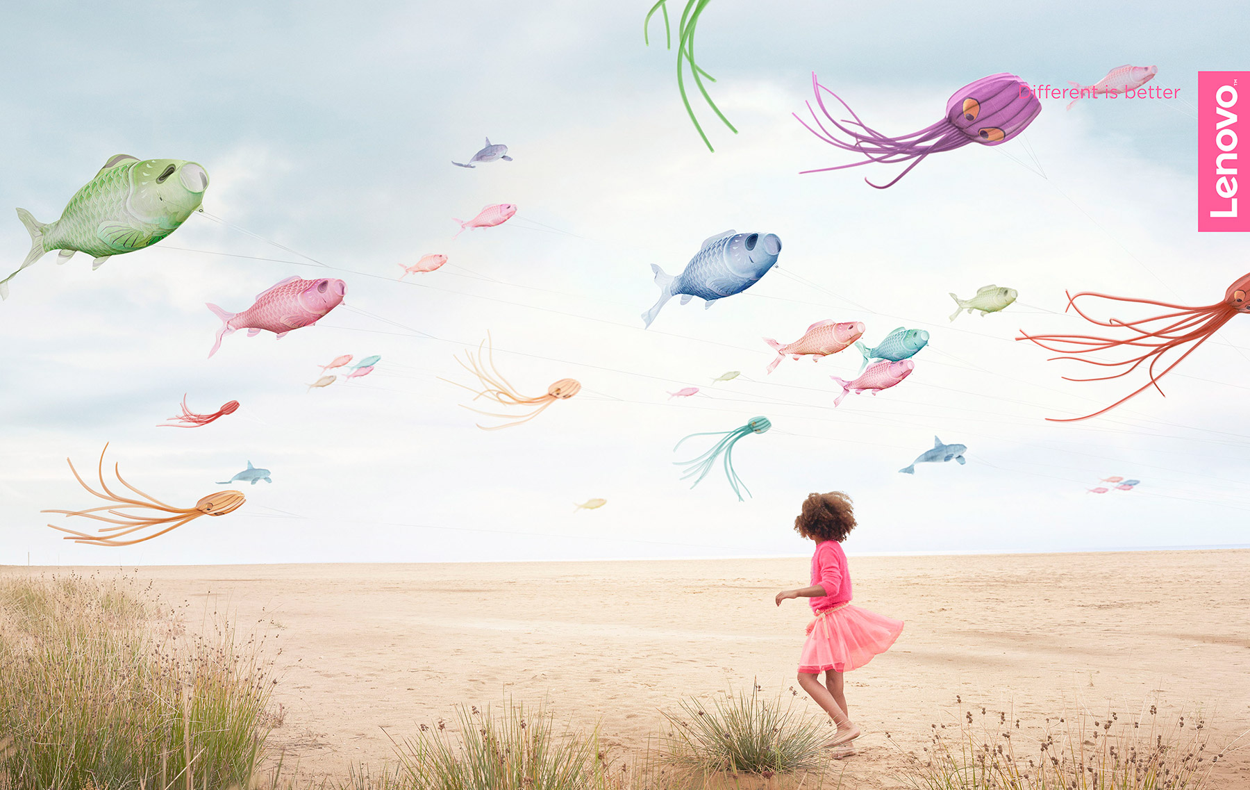 Daniloff_Lenovo_kites_logo